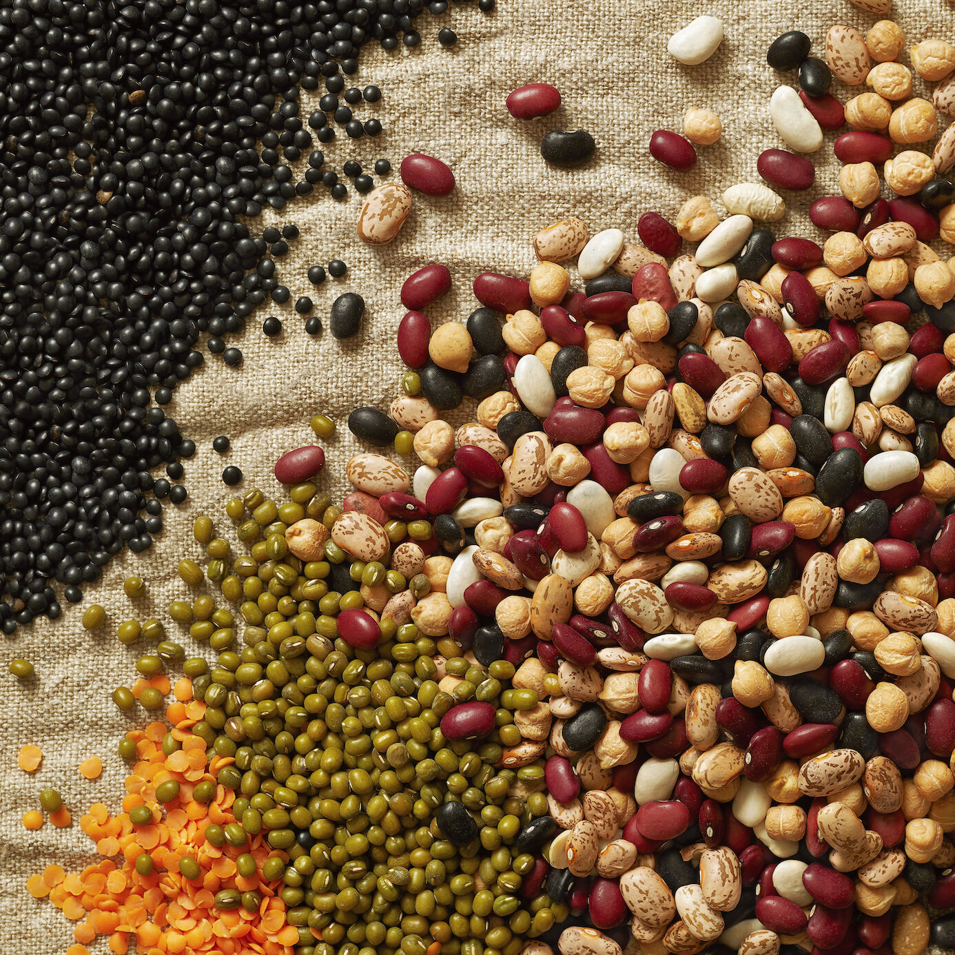 What is the difference between beans and legumes? The Zero Waste Kitchen